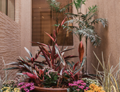 Escribanía Díaz Veron